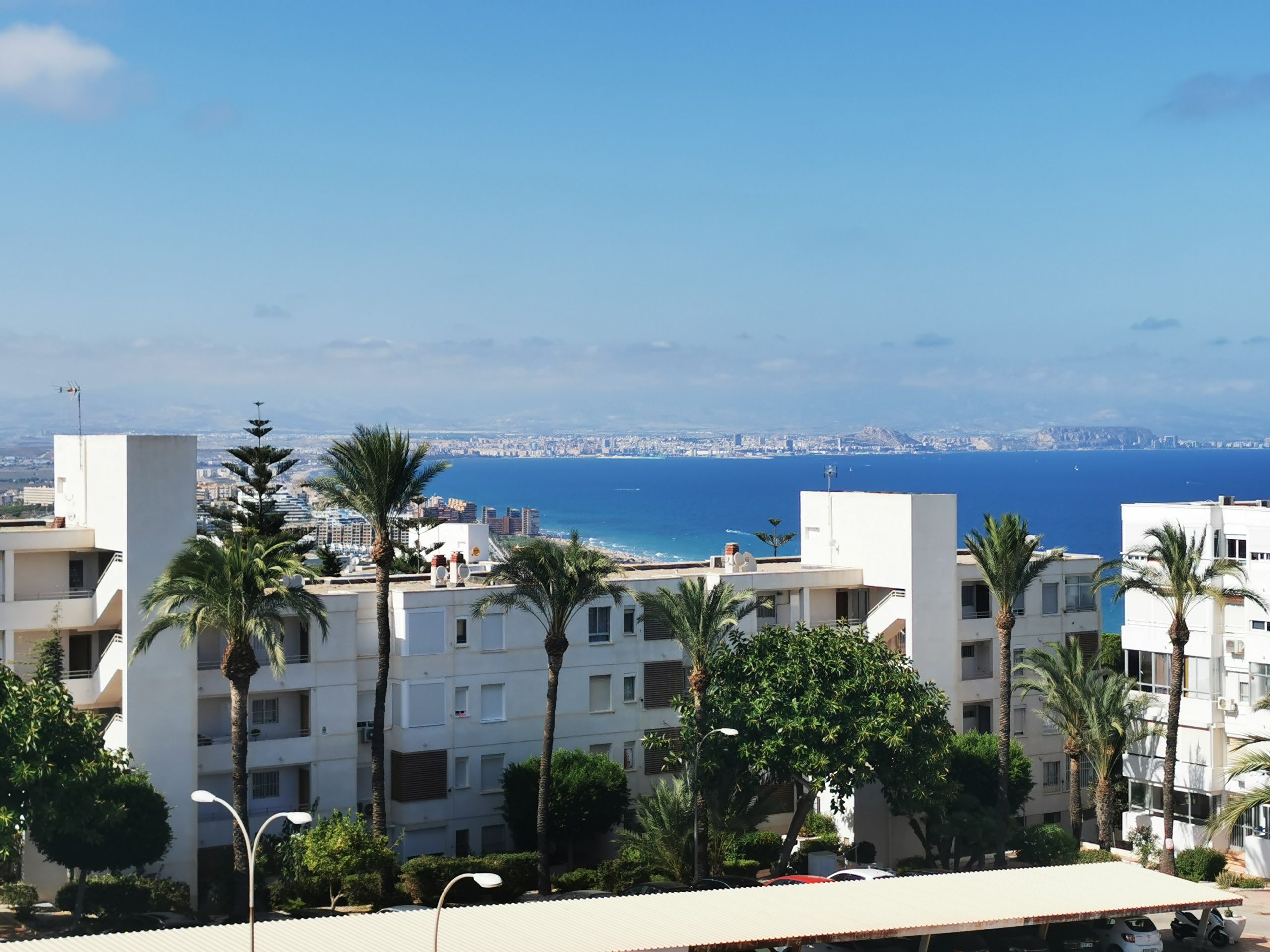 Weiße Wohngebäude mit Palmen im Vordergrund, mit Blick auf das blaue Mittelmeer und die entfernte Stadtsilhouette von Alicante unter einem klaren, sonnigen Himmel.