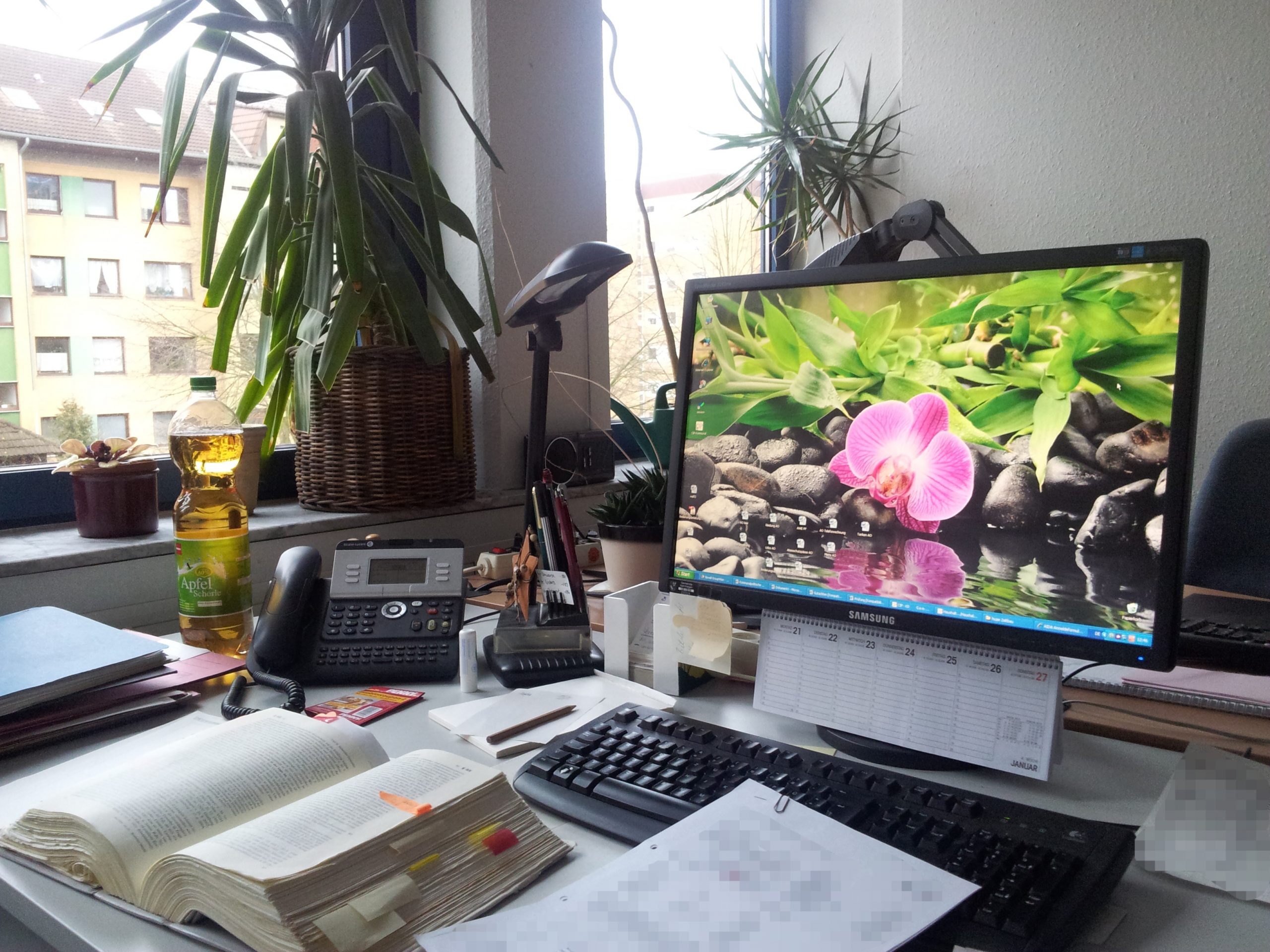 Auswandern trotz Beamtenstatus: Beurlaubung, Sabbatjahr oder Entlassung